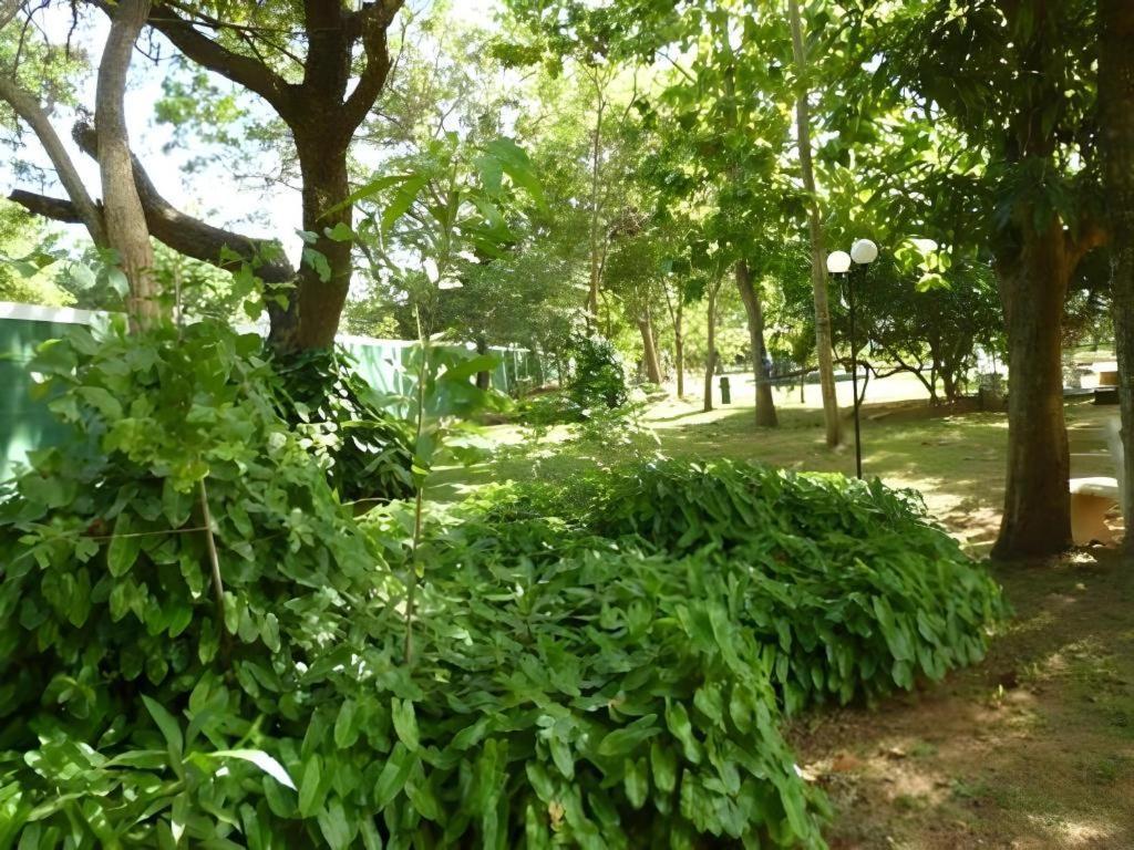 Saji-Sami Hotel Anuradhapura Exterior photo